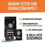 Pferdeklopse