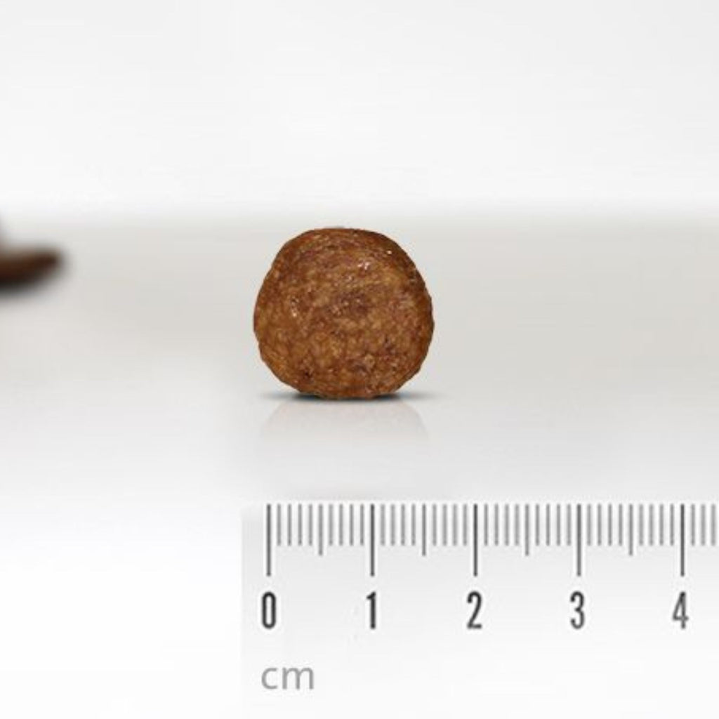 Kaninchen + Kartoffel Gemütlich Doppelpack