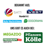 Gulaschwürfel